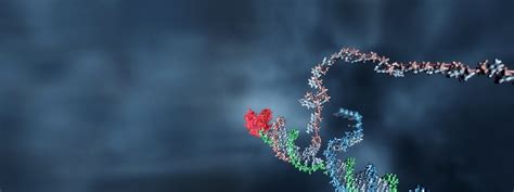 Programming DNA Circuits: Download - Microsoft Research