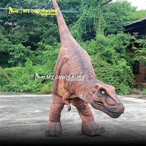 DC-112 Realistic Dinosaur T-Rex Costume for Sale | My Dinosaurs