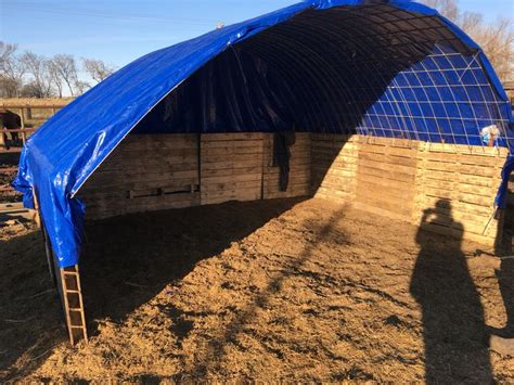 DIY shelter for horses! | Horse shelter, Horse life, Horse farms