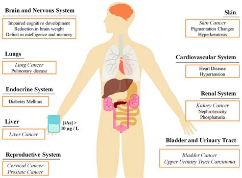 Prince Ramendra Narayan Roy & Arsenic Poisoning – Platform | CME