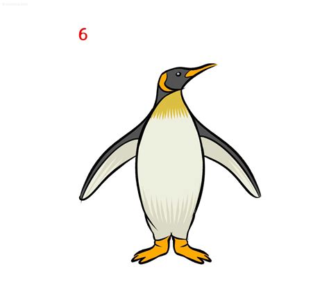 Penguin Drawing How to draw a Penguin