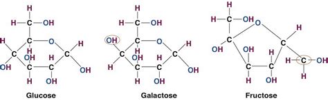 5.2 – A Closer Look at Carbohydrates – Nutrition 100 Nutritional ...