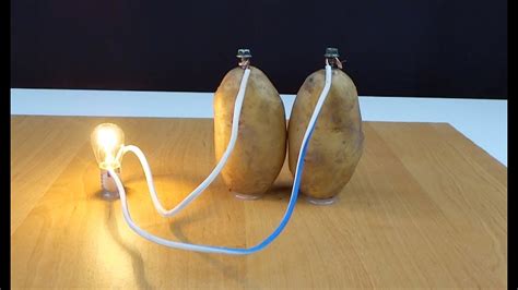 Potato Battery Experiment For Kids | Kids Matttroy