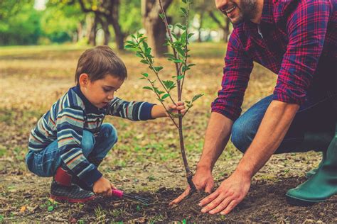 Benefits of Planting Trees for Children and Students