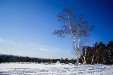 Winter Outdoor Activites Massachusetts - The Trustees of Reservations