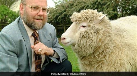 The Pioneering Scientist Who Cloned Sheep Dies. Know What Happened ...