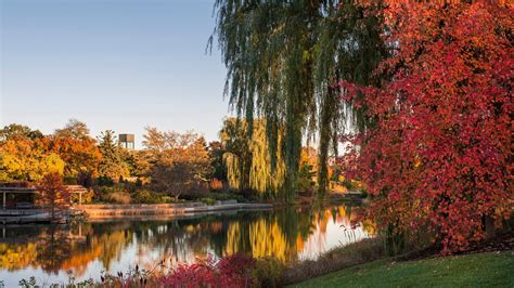 Fall Colors Are on Full Display at Chicago Botanic Garden | Chicago ...