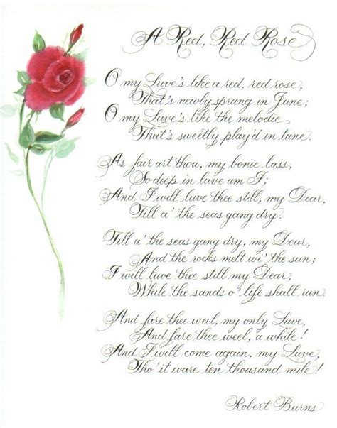 a poem written in cursive writing with a rose