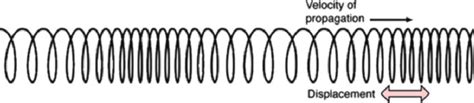 Examples Of Longitudinal Waves - page2 / Generally, waves moving ...