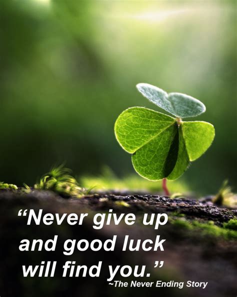 20+ Quotes About Shamrocks - MaximTaylor