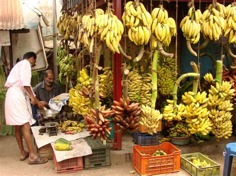 Bananas! There are hundreds of varieties of bananas in Kerala | Kerala ...