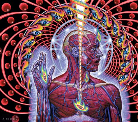 Dissectional Art for Tool's Lateralus CD by Alex Grey