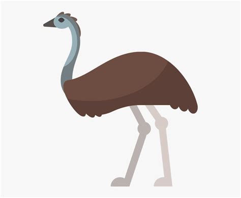 Emu Cartoon Australian Animals , Free Transparent Clipart - ClipartKey