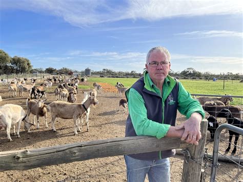 Goat farmer fears FMD 'devastation'