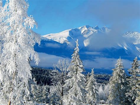 50+ Spectacular Shots that Showcase the Beauty of the Canadian Winter