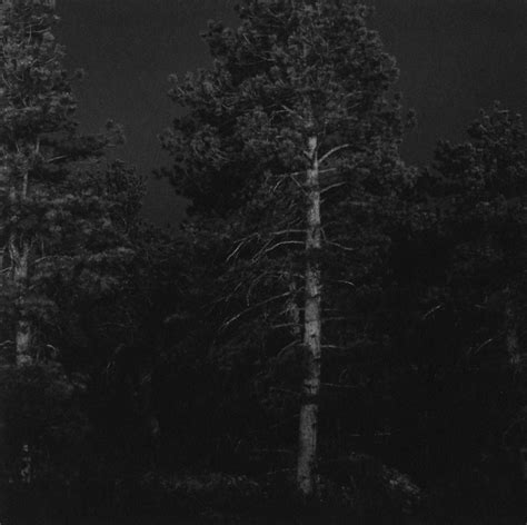 Something Between Want and Desire: Robert Adams, "Summer Nights ...