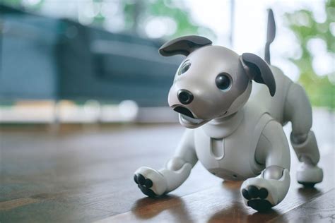 Sony's Robot Dog Uses Artificial Intelligence to Learn and Develop a ...