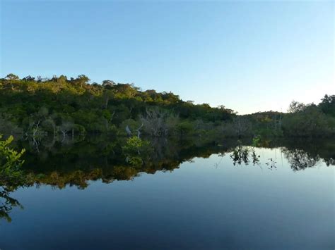 Rio Negro, Brazil - Orchid Conservation Alliance