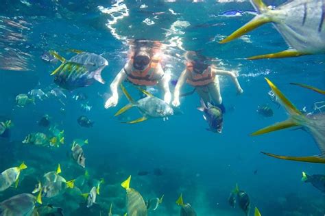 The Best Snorkeling Tours in Cabo San Lucas - Vayando