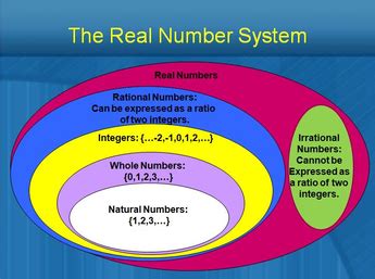 Tree Diagram Of Real Number System Probability With Tree Dia