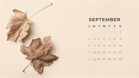 September 2023 Desktop Background Calendar Wallpaper in 2023 | Calendar ...