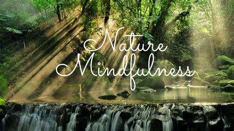 Nature Meditation, Calming Music, Sleep Music, Nature Sounds - YouTube