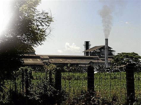 Mill dragged in Luisita land reform row | Inquirer News