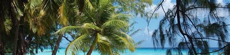 Fakarava 2020: Best of Fakarava Tourism - Tripadvisor