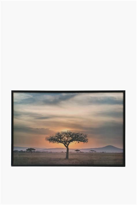 Framed Savanna Sunset, 60x90cm