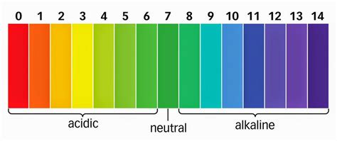 Diagram of Universal Indicator and the pH Scale | Quizlet