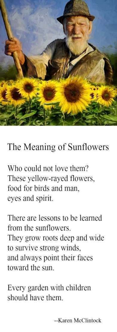 Pin by Christine Davidson on Love it in 2020 | Meaning of sunflower ...