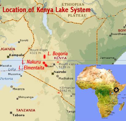 Kenya Lake System in the Great Rift Valley (Kenya) | African World ...