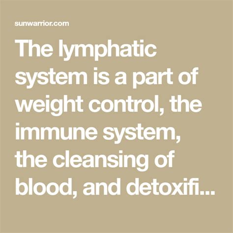 10 Foods to Boost the Lymphatic System for Improved Health [Infographic ...