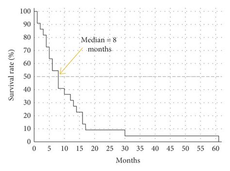 Progression-free survival under FOLFIRI (n = 22, range 1–61 months ...