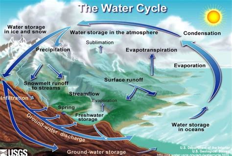 Water: A Necessity for Life – Environmental Studies: From New Jersey to ...