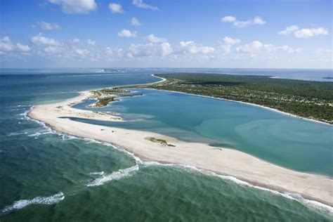 Cayo Costa State Park Guide - Uncharted Florida