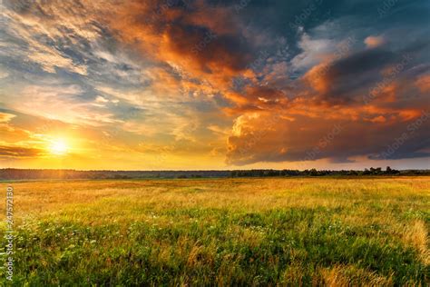 Sunset landscape with a plain wild grass field and a forest on ...