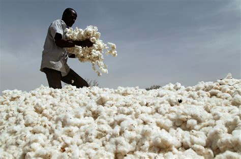 The Cotton Industry Finally Answers Critics - Orchard Tech