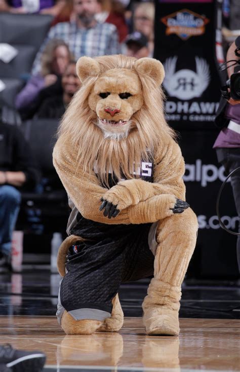 A ranked list of all NBA mascots: Who is the best mascot in basketball ...