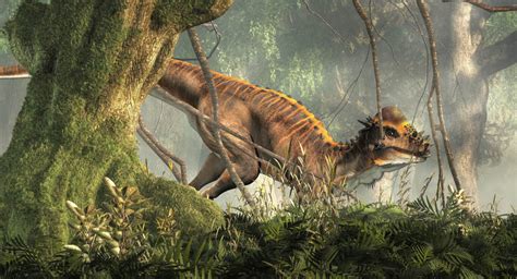 Meet the Micropachycephalosaurus – The Dinosaur With the Longest Name