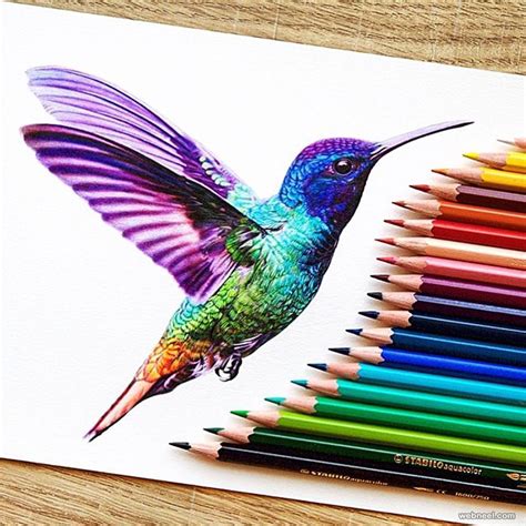 Kingfisher Color Pencil Drawing By Danstirling - Full Image