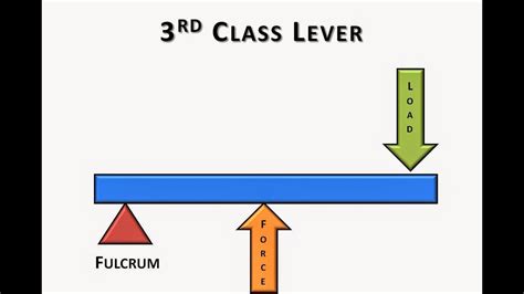 Three Classes Of Levers - slideshare