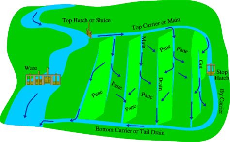 Water meadow - Alchetron, The Free Social Encyclopedia