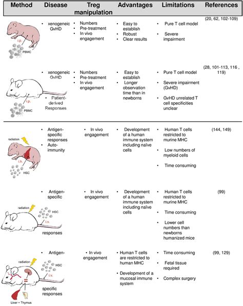 Humanized mouse models and their potential application in Treg research ...