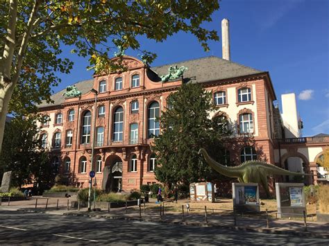 Museum Sejarah Senckenberg (Frankfurt, Jerman) - Review - Tripadvisor