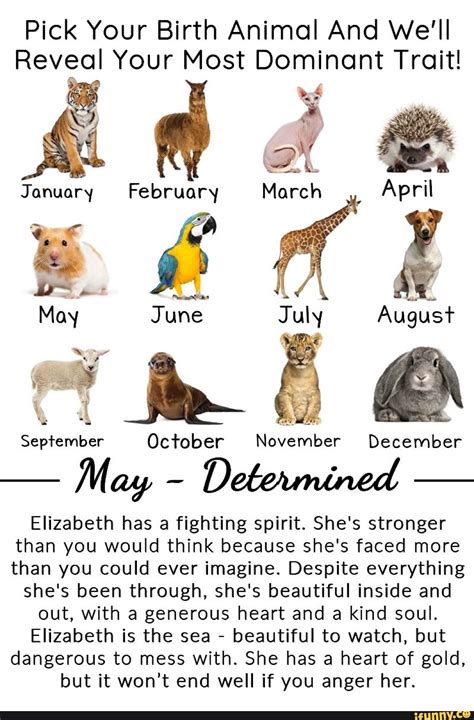 Pick Your Birth Animal And We'll Reveal Your Most Dominant Trait! é hoe ...