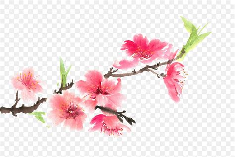 Hình ảnh Cành đào PNG , Chi Nhánh Clipart, Vẽ Mực, Vẽ Tay PNG miễn phí ...