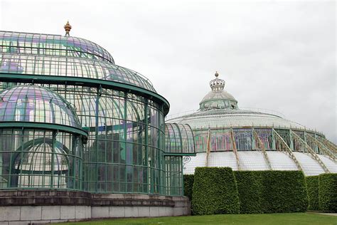 Royal Greenhouses of Laeken in Brussels 2024 - Rove.me