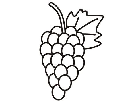 Drawing Of Grapes - ClipArt Best