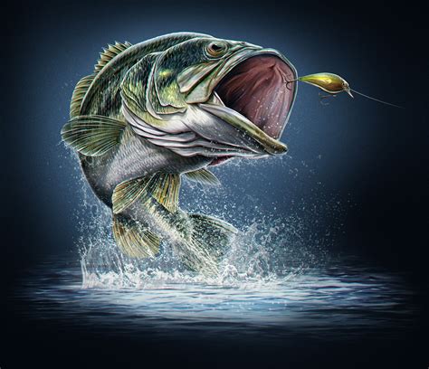 Largemouth-Bass-Illustration3 - Joel Jensen Art